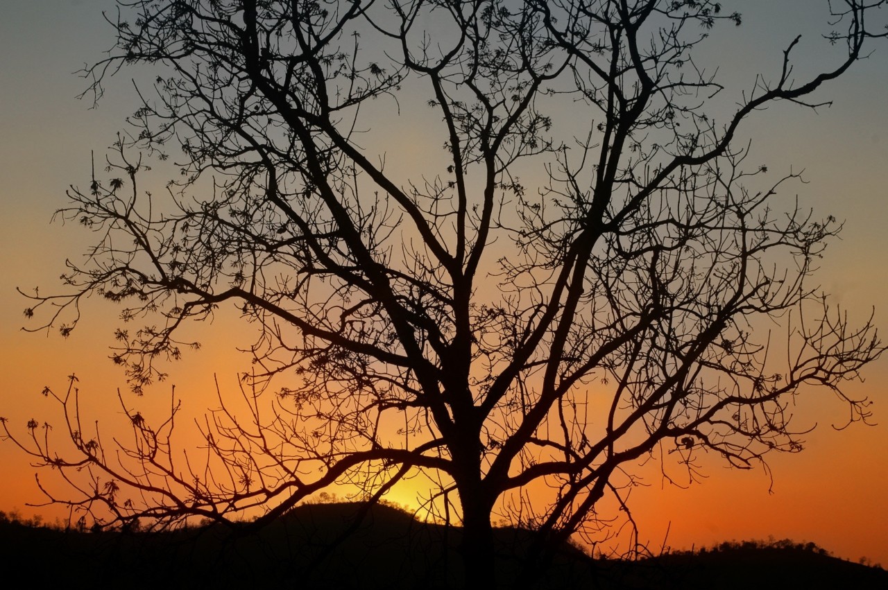 Sunrise at Countryside. - Nature Photography Gallery