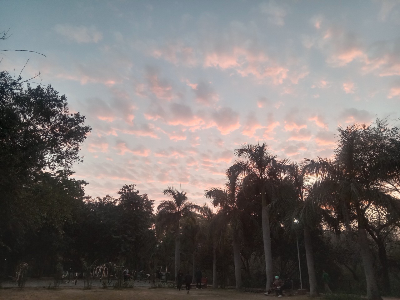 The Evening Walk Wonder!! - Nature Photography Gallery