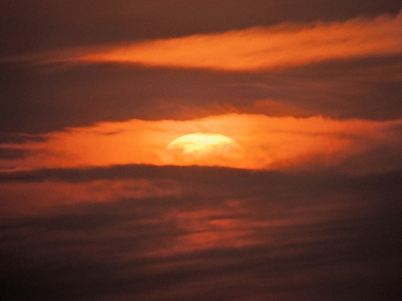 Sunset - Nature Photography Gallery