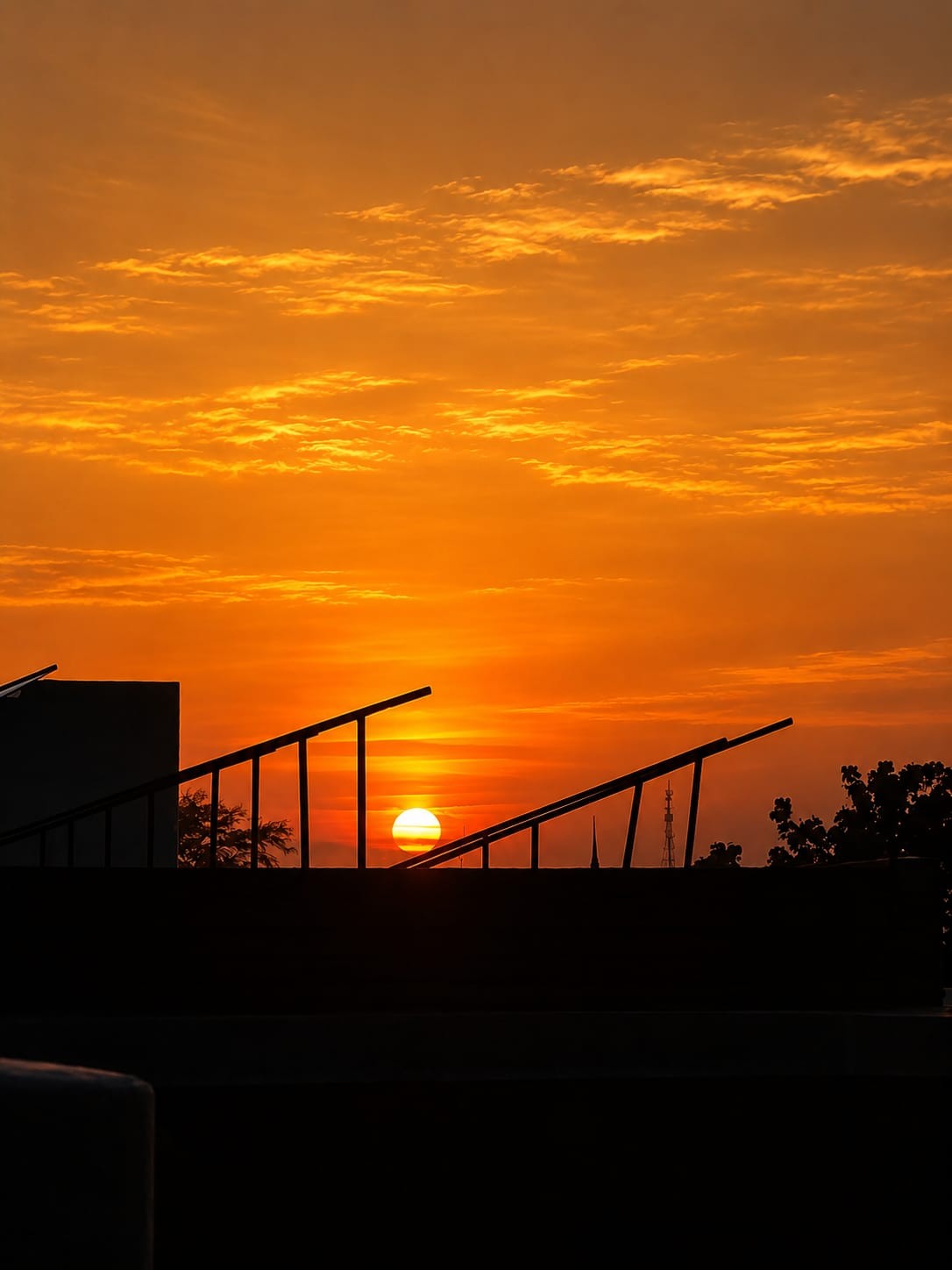 Sunset - Nature Photography Gallery