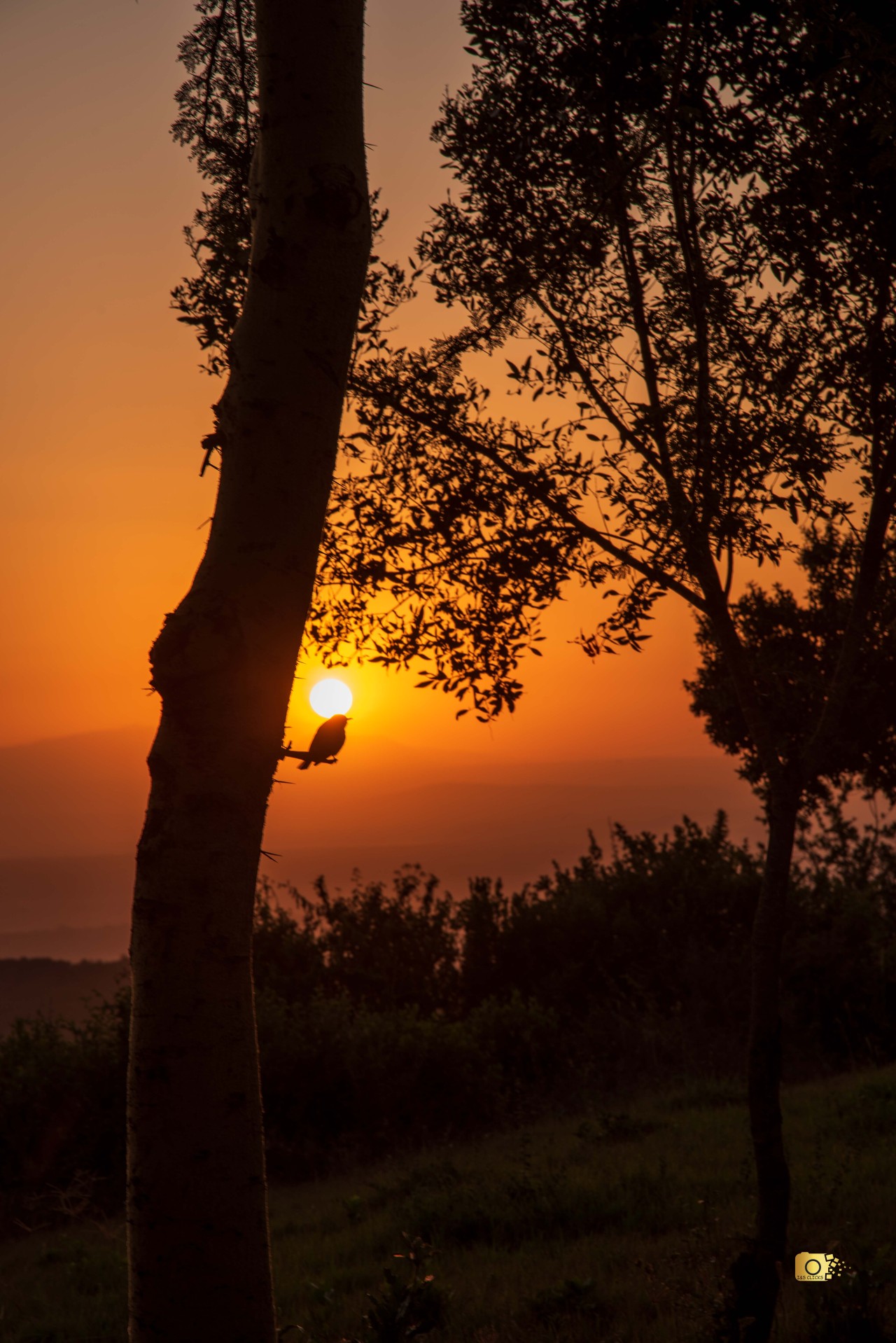 Morning in Lake Nakuru - Nature Photography Gallery