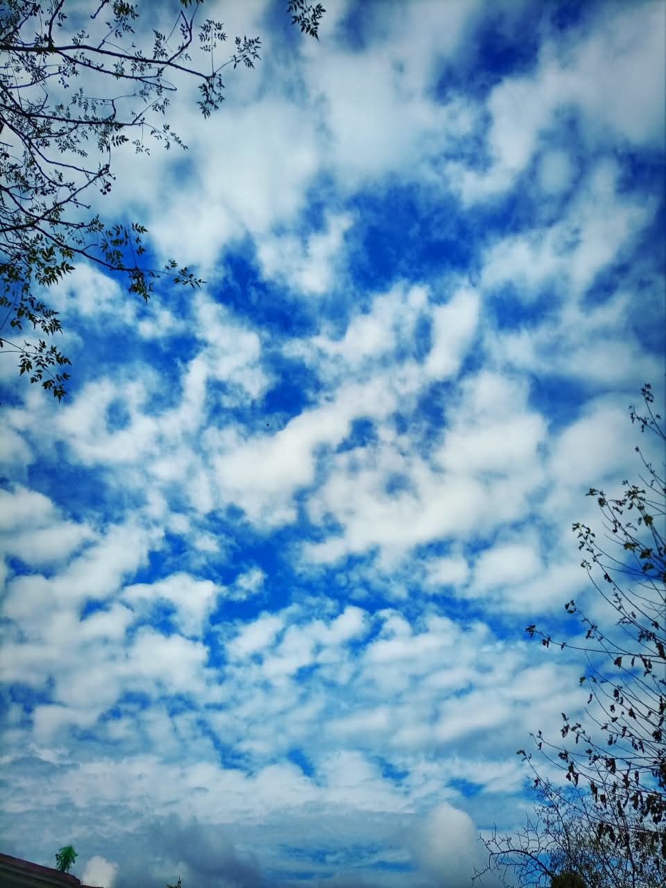 Free Skies photos. Blue Sky and Clouds.
