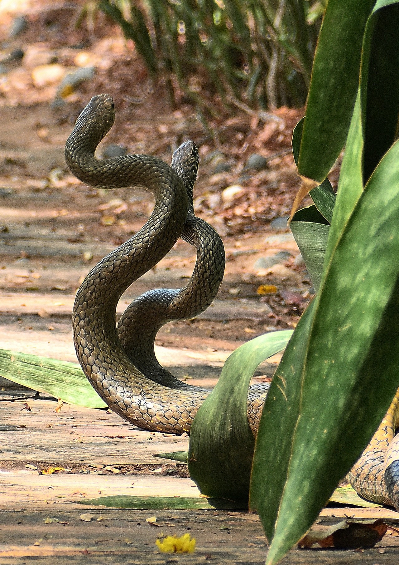 Intimate moments - Nature Photography Gallery
