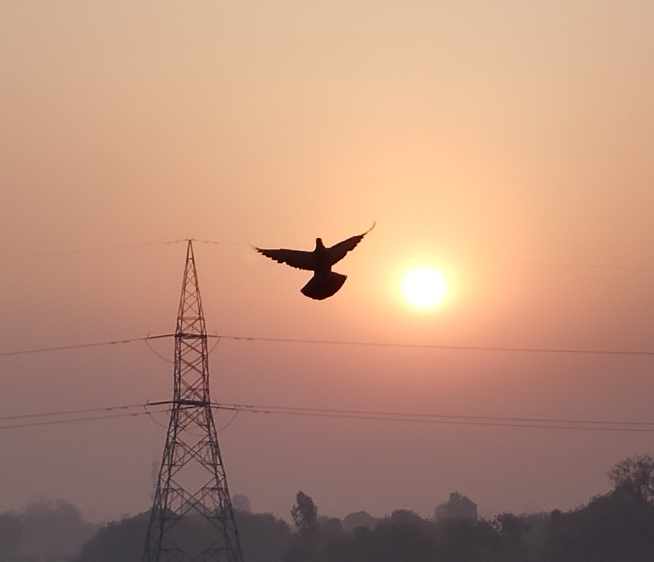 Free Landscapes photos. Morning View.