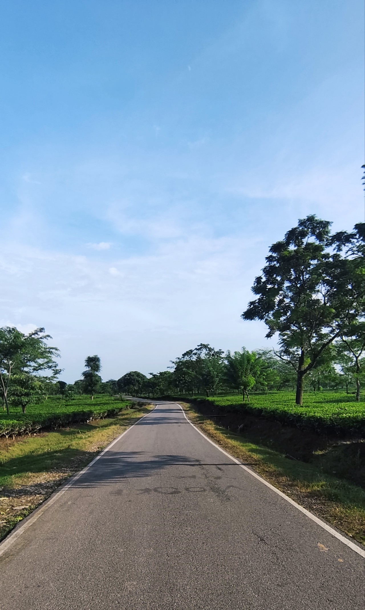 Free Landscapes photos. A lonely road.