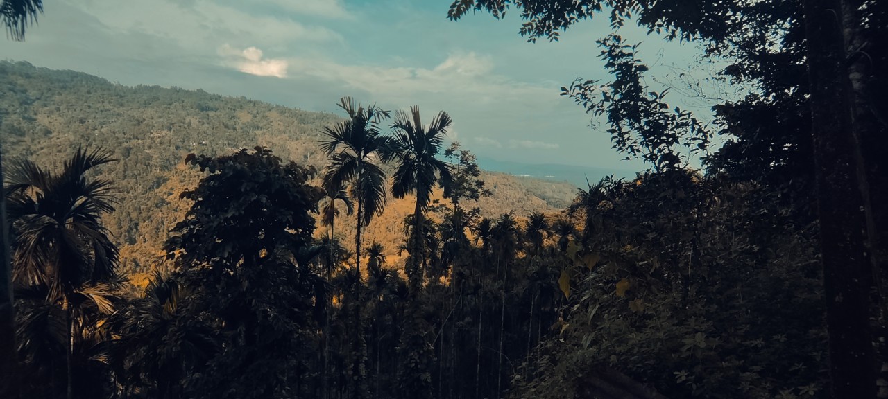 Free Landscapes photos. Mountain, North Bengal, India.