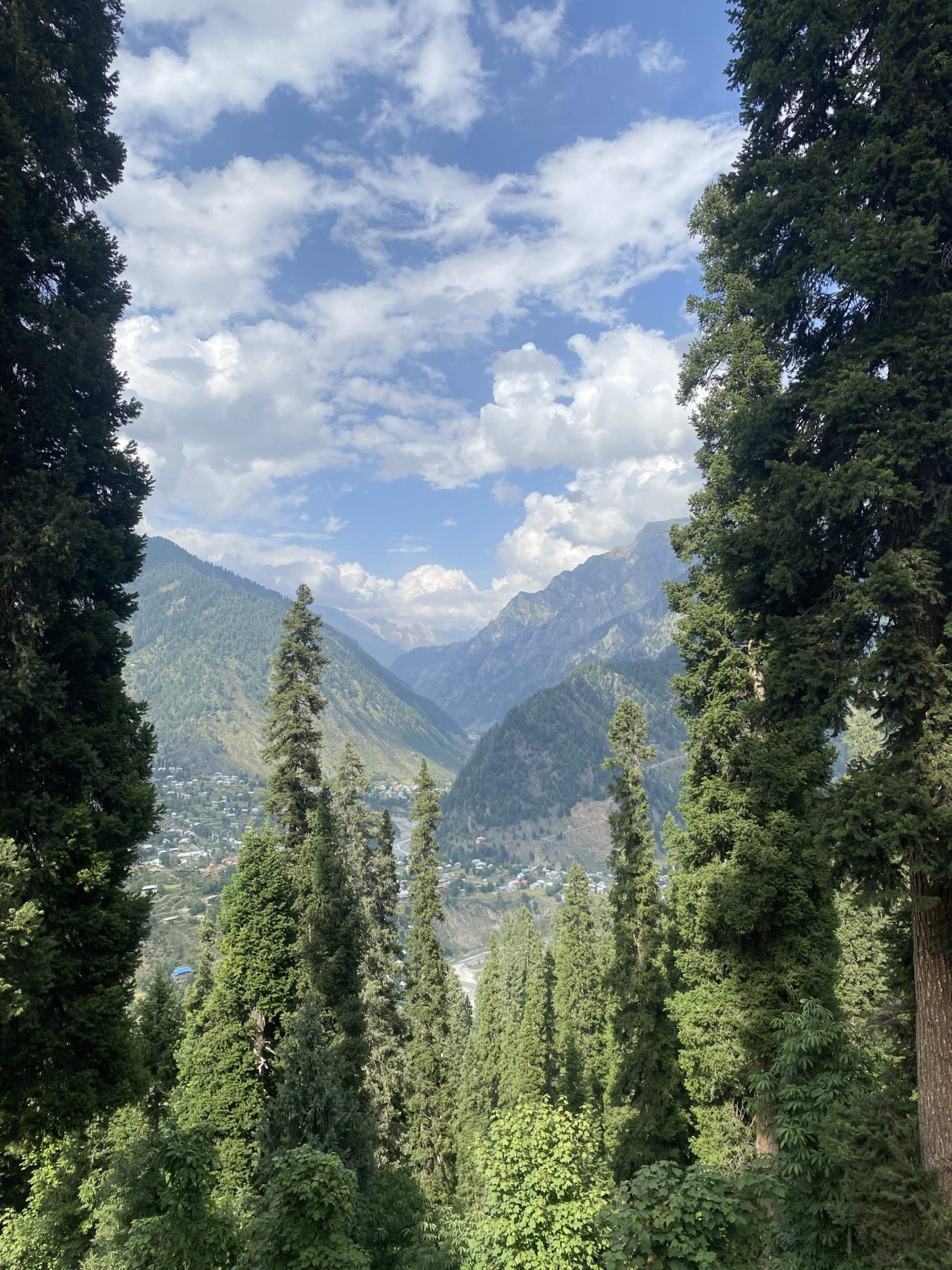 Arang kel, AJK. - Nature Photography Gallery