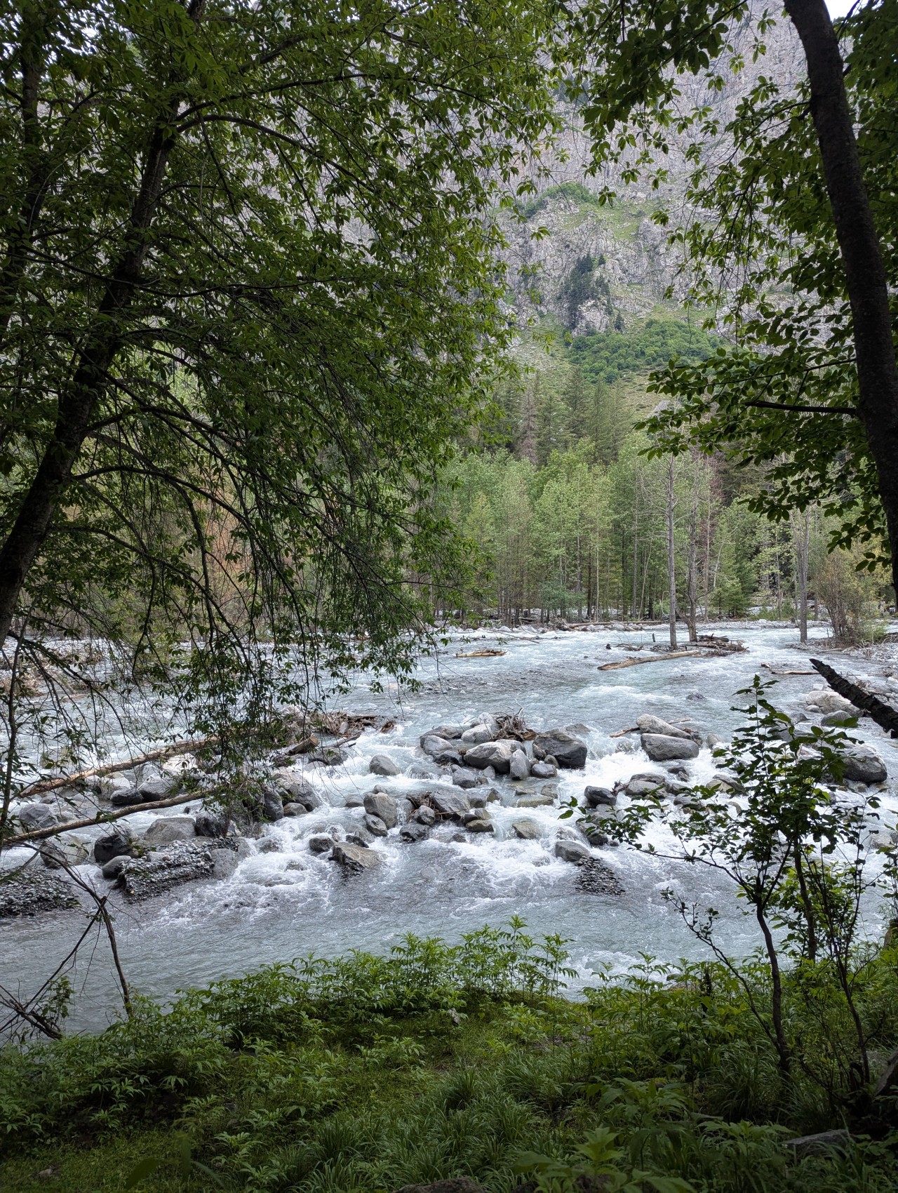 River - Nature Photography Gallery