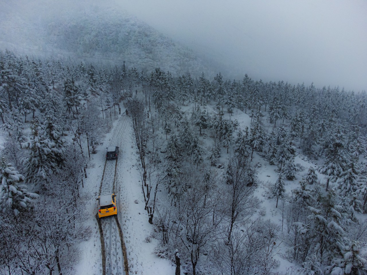 The Road Through a White Paradise - Nature Photography Gallery