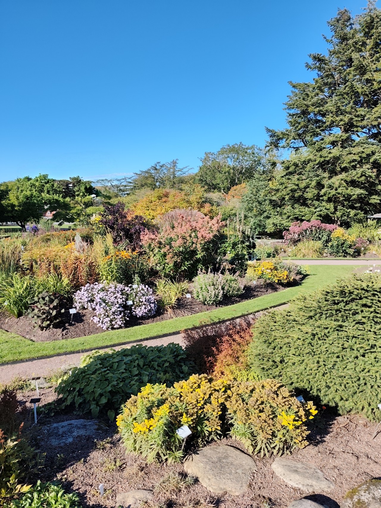 Free Landscapes photos. Urban park.