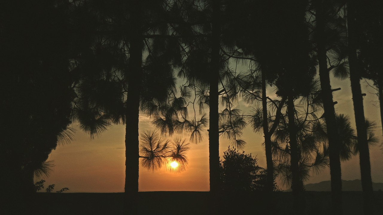 Free Landscapes photos. Sunset.