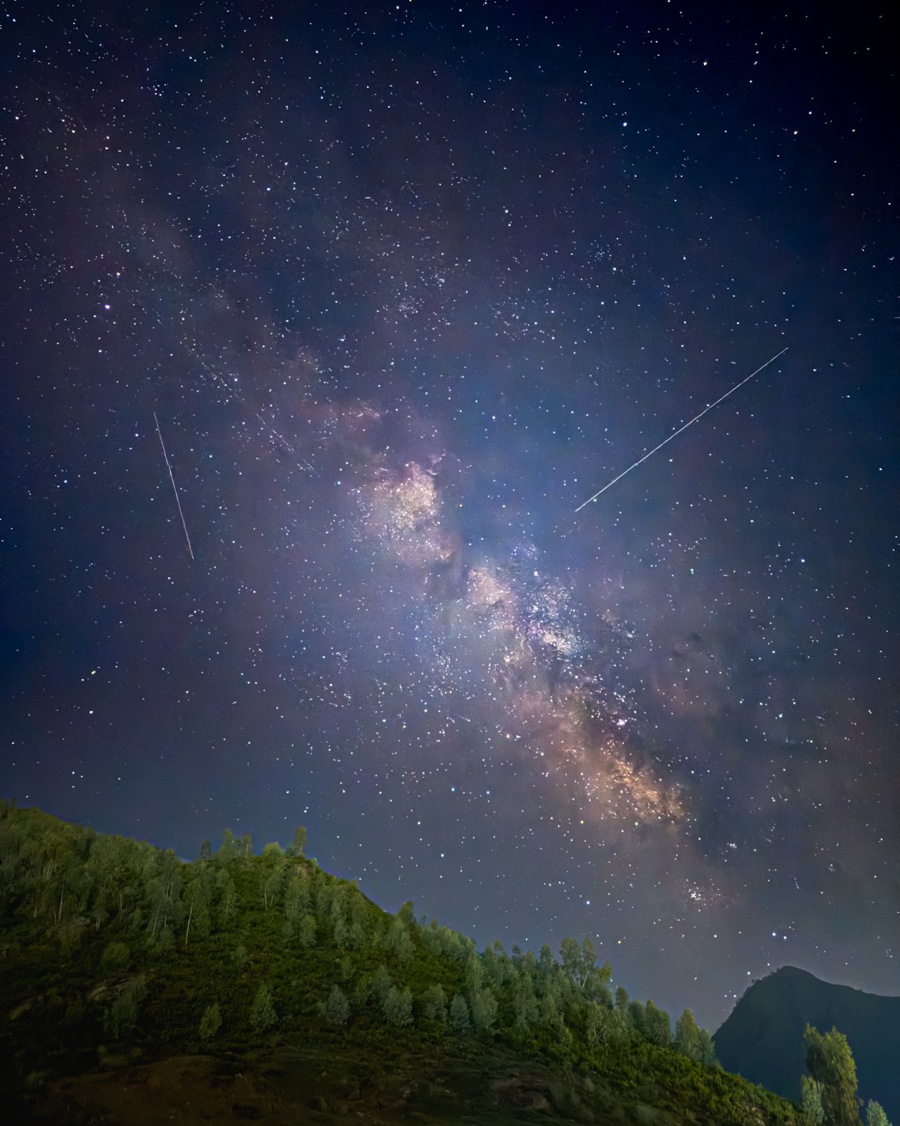 Chasing light in the dark - Nature Photography Gallery