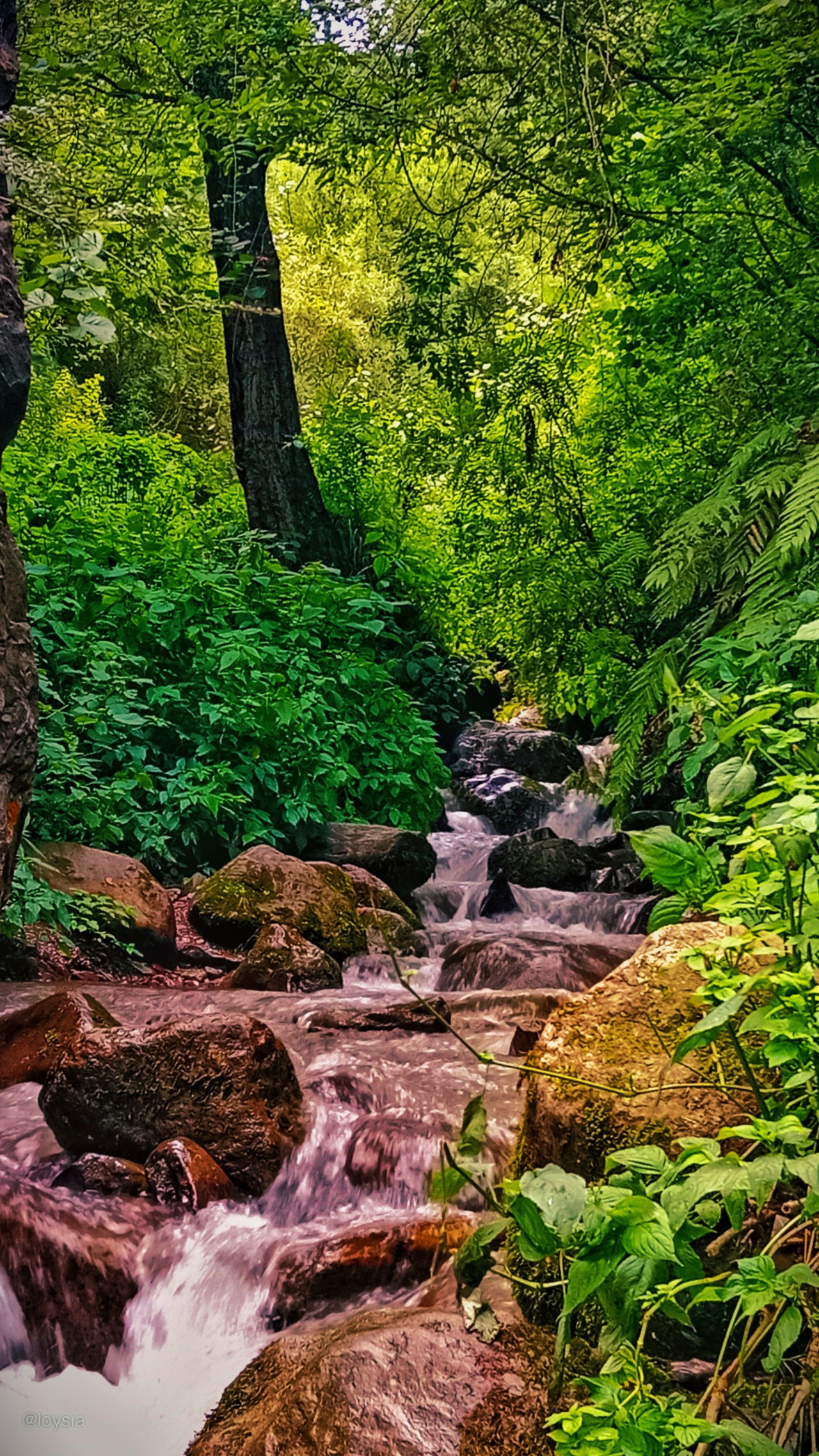 Kawai waterfall, Pakistan - Nature Photography Gallery