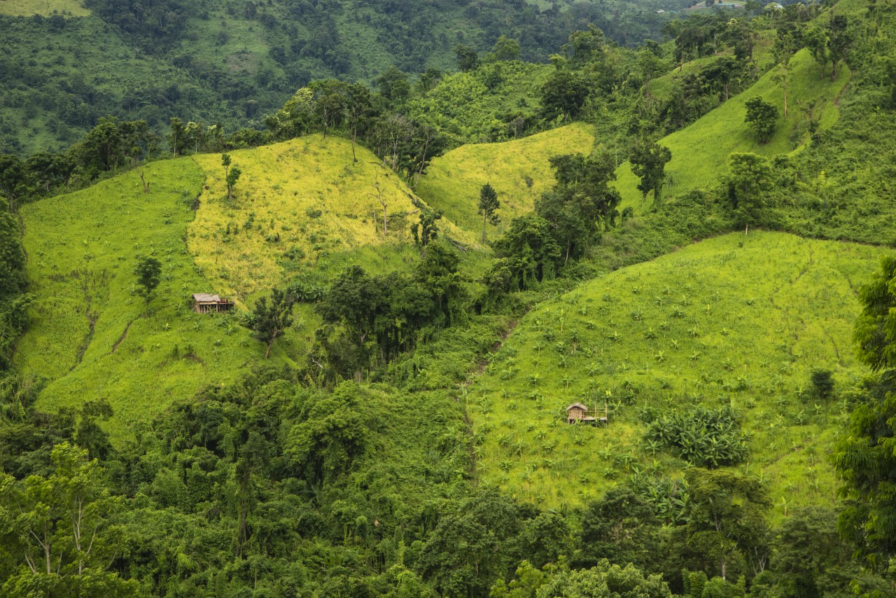 Free Landscapes photos. Off the Beaten Path: Chittagong Hill Tracts.