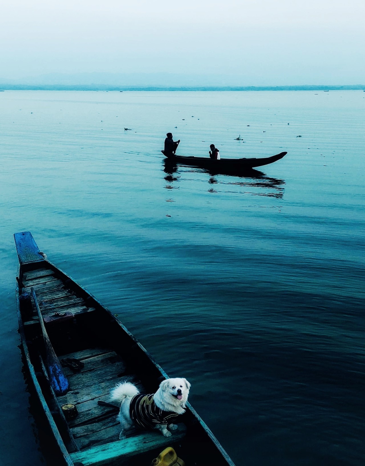 Little traveller - Nature Photography Gallery
