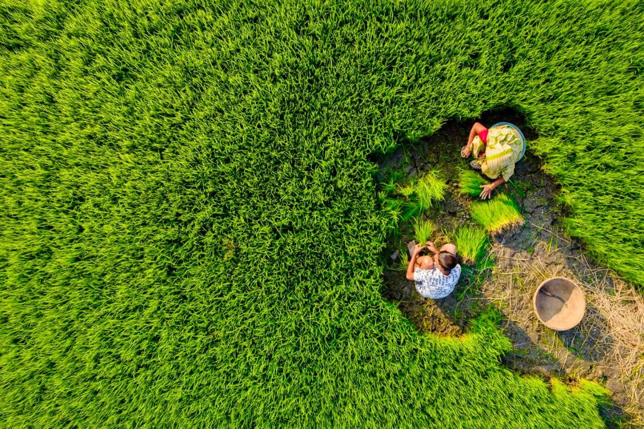 The Soul Of Bangladesh - Nature Photography Gallery