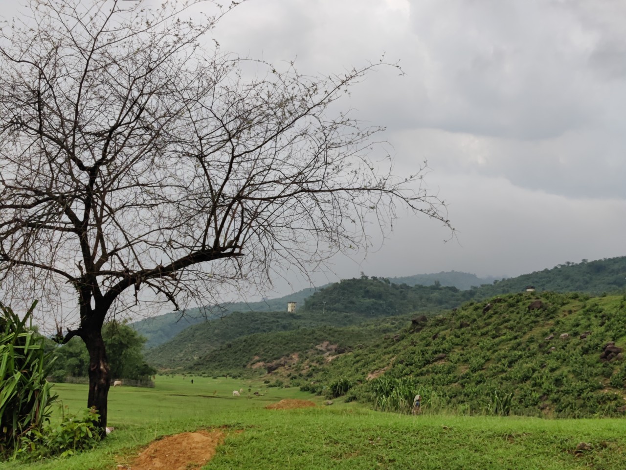 Nature, Bangladesh - Nature Photography Gallery