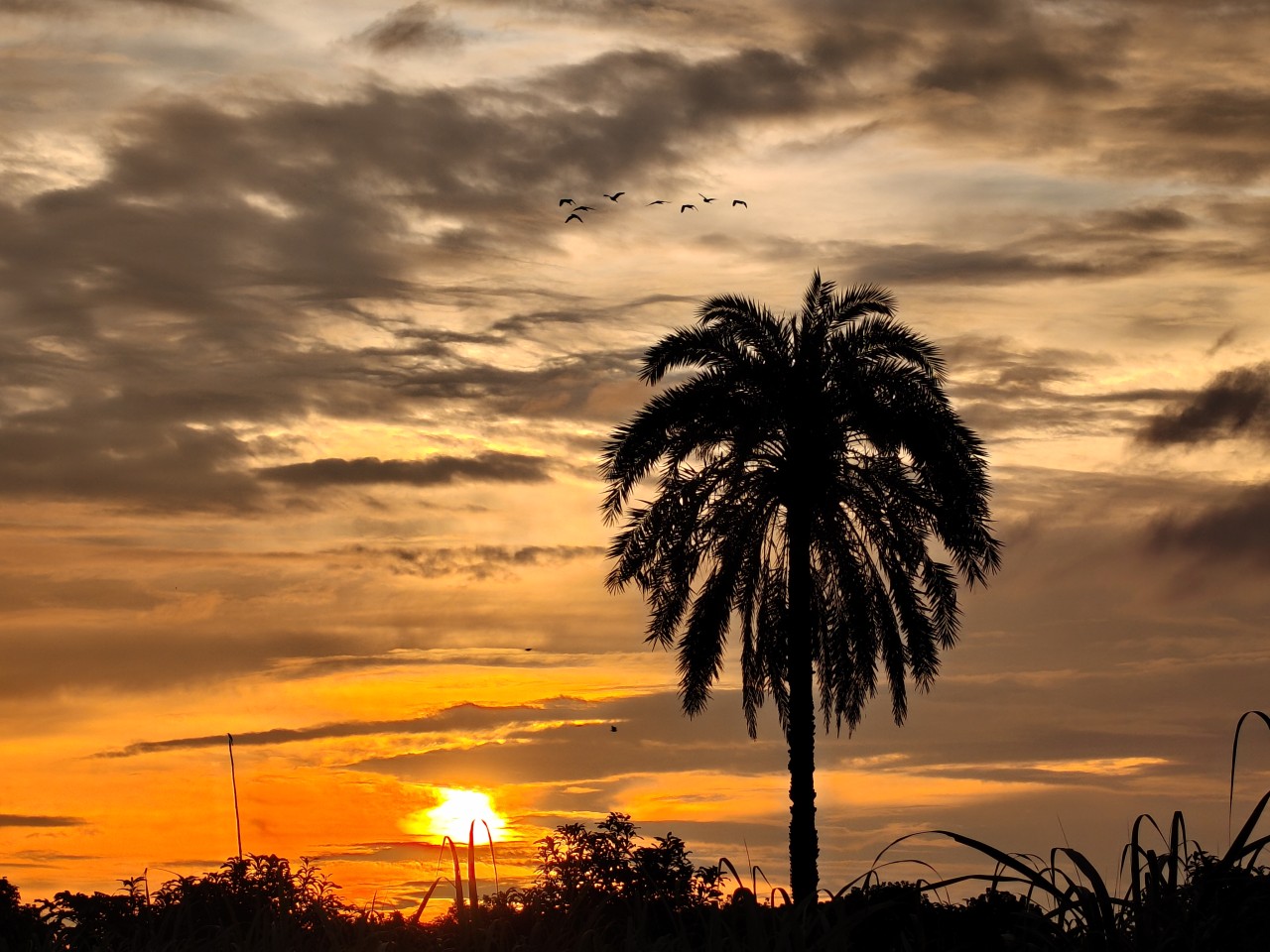 Free Skies photos. The sunset of Bangladesh.