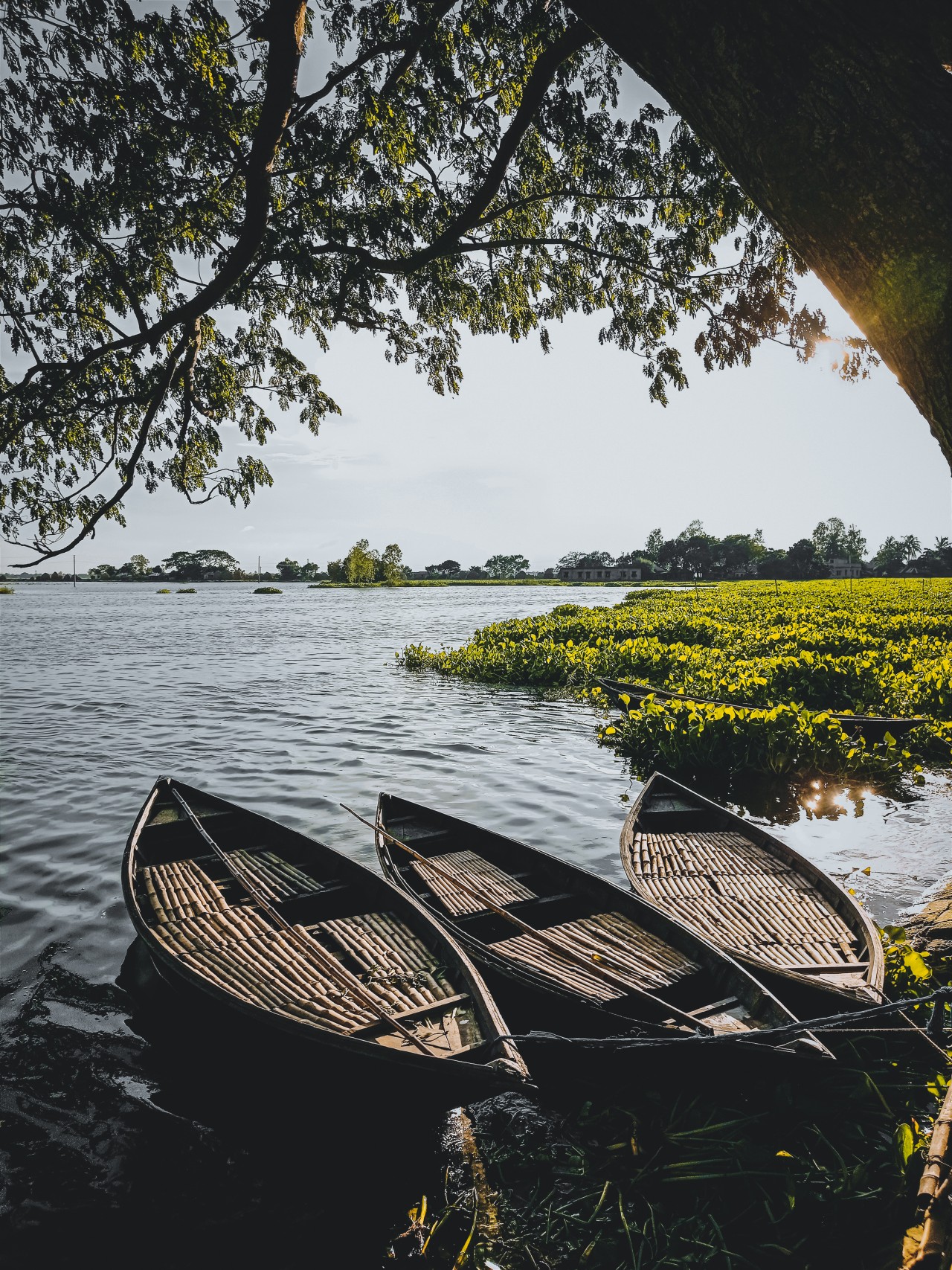 Free Landscapes photos. A quiet afternoon by the water.