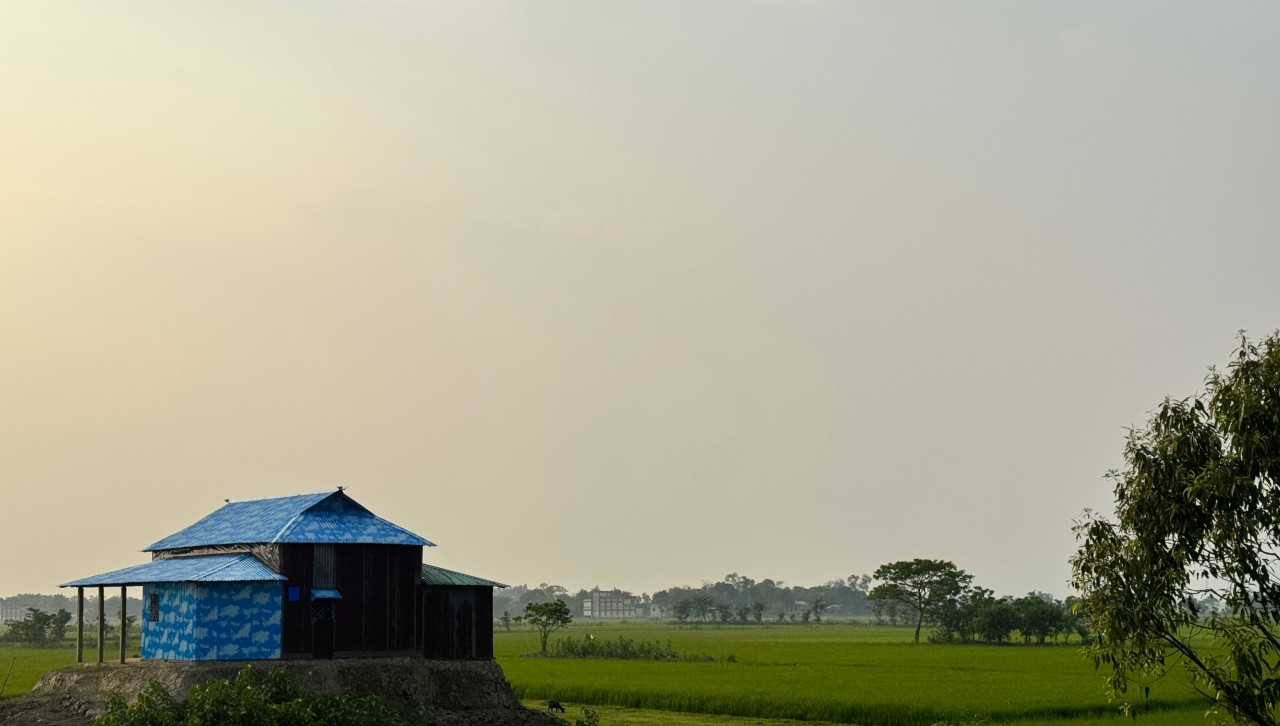 Free Landscapes photos. Last lights on the field.