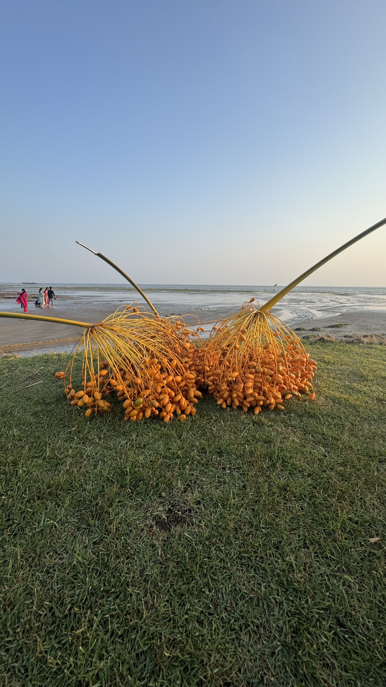 Sea view - Nature Photography Gallery