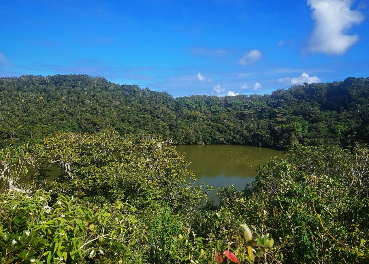 Bassin Blanc, Mauritius - Nature Photography Gallery