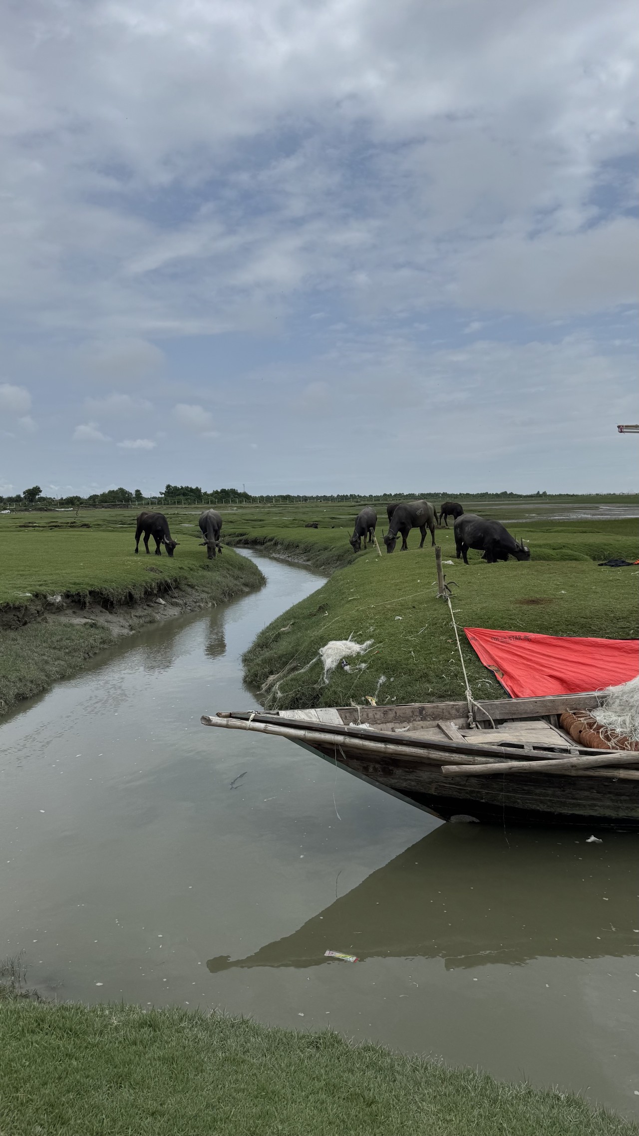 Bay of Bengal - Nature Photography Gallery