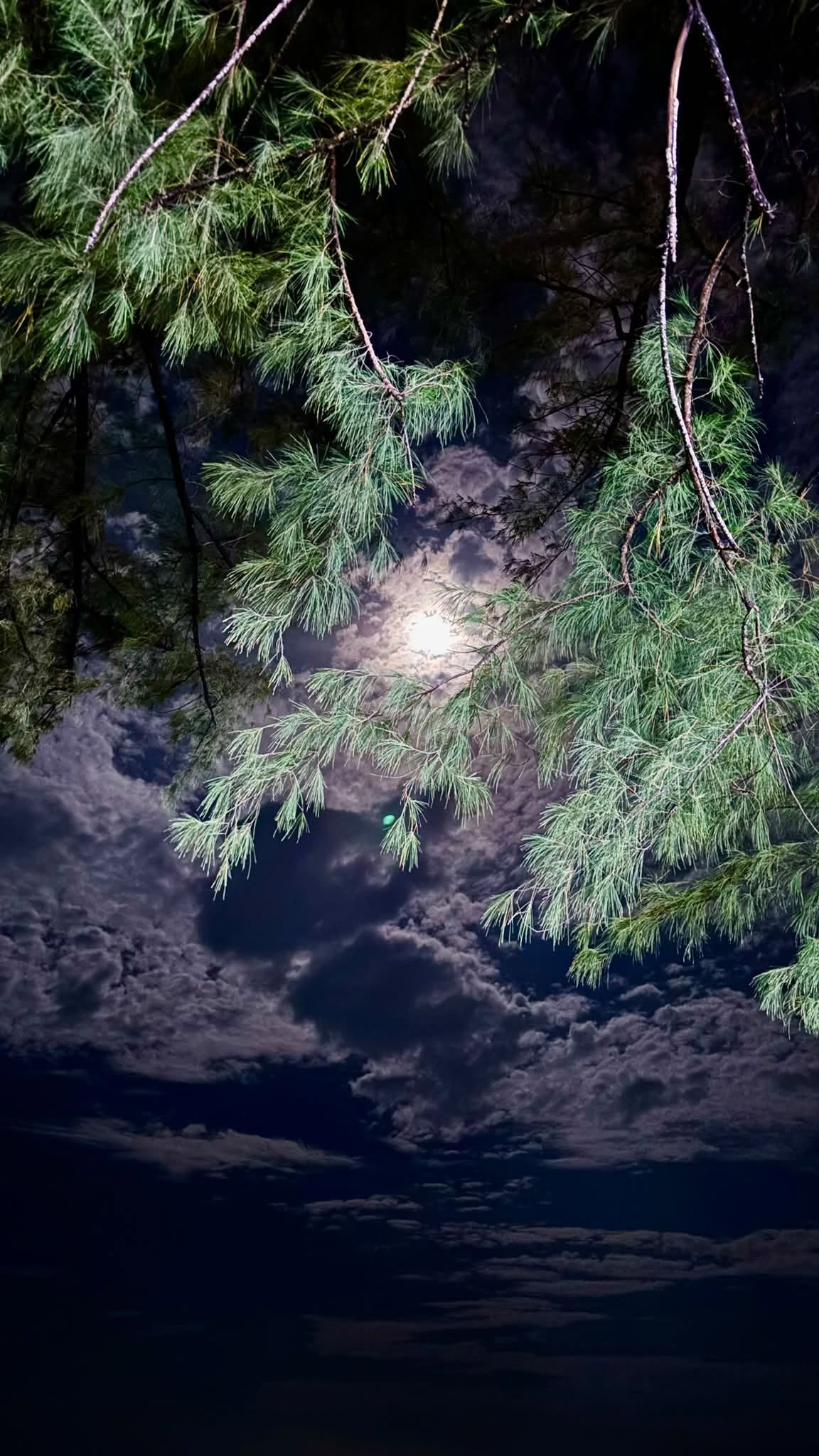 Free Skies photos. Moonlight at Krabi.