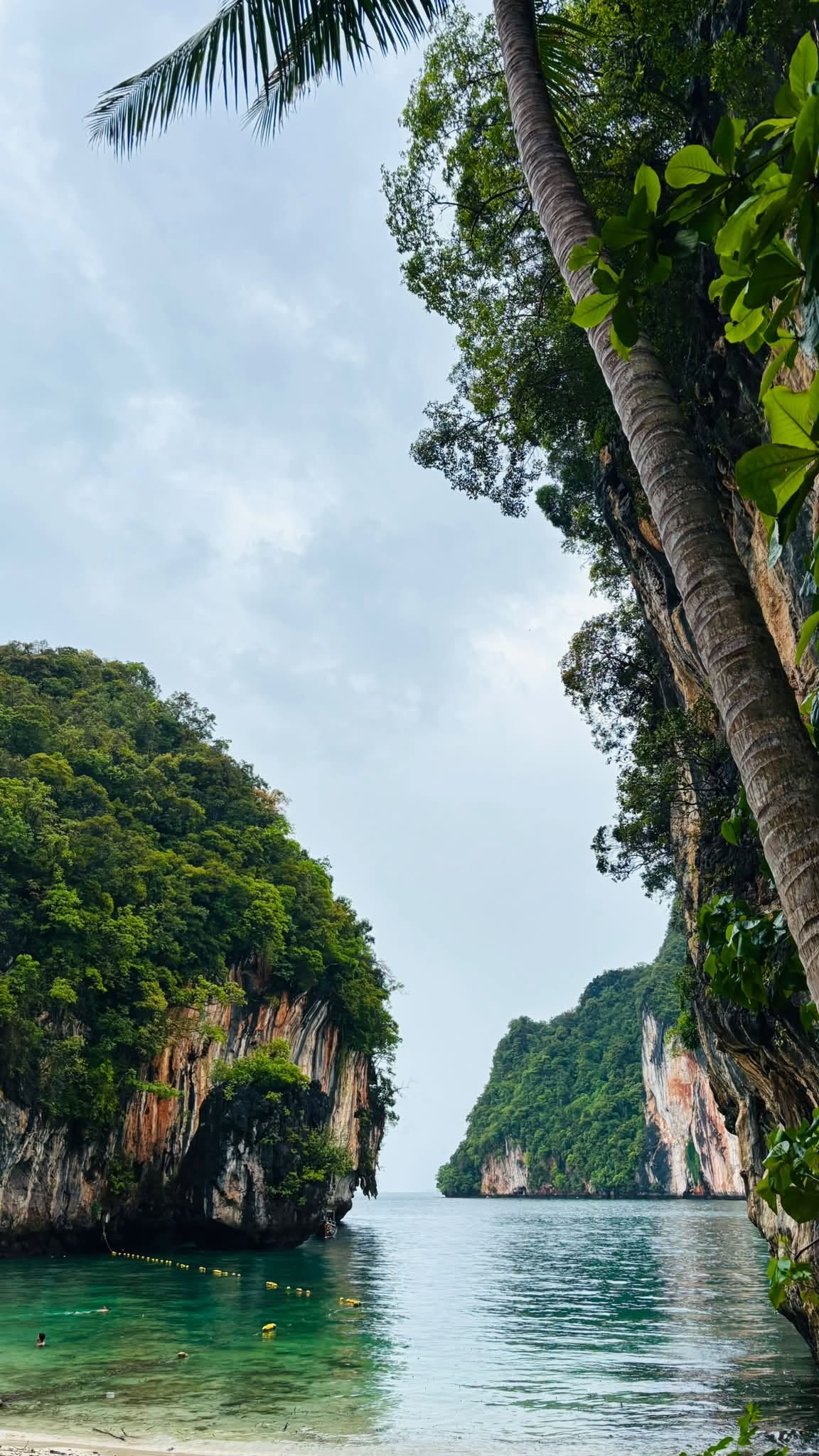 Krabi, Thailand - Nature Photography Gallery