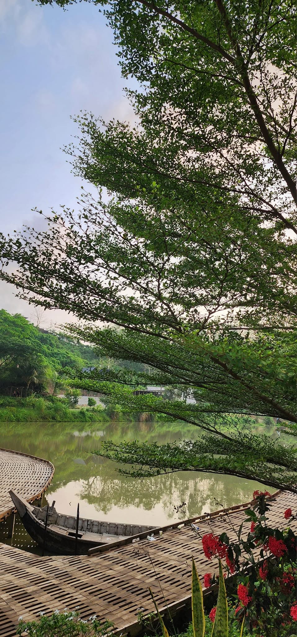 Matita, Chattogram - Nature Photography Gallery