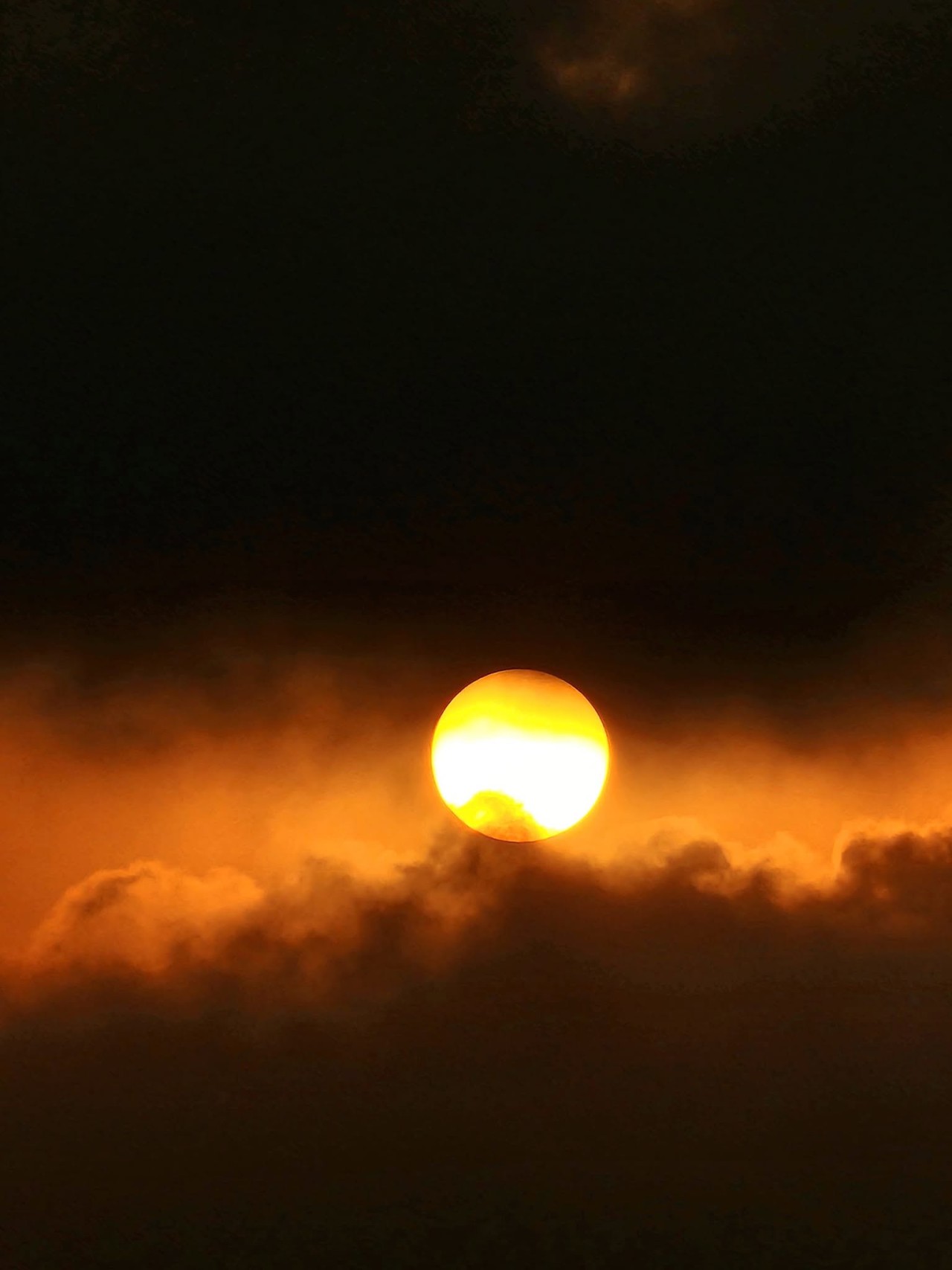 Golden Hour - Nature Photography Gallery
