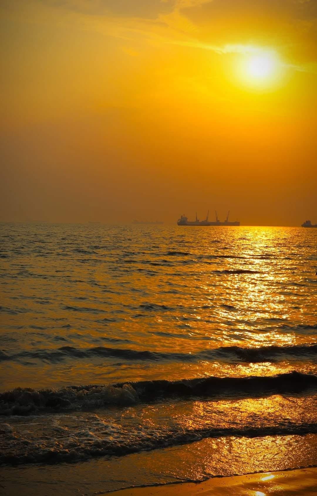 Golden hour - Nature Photography Gallery