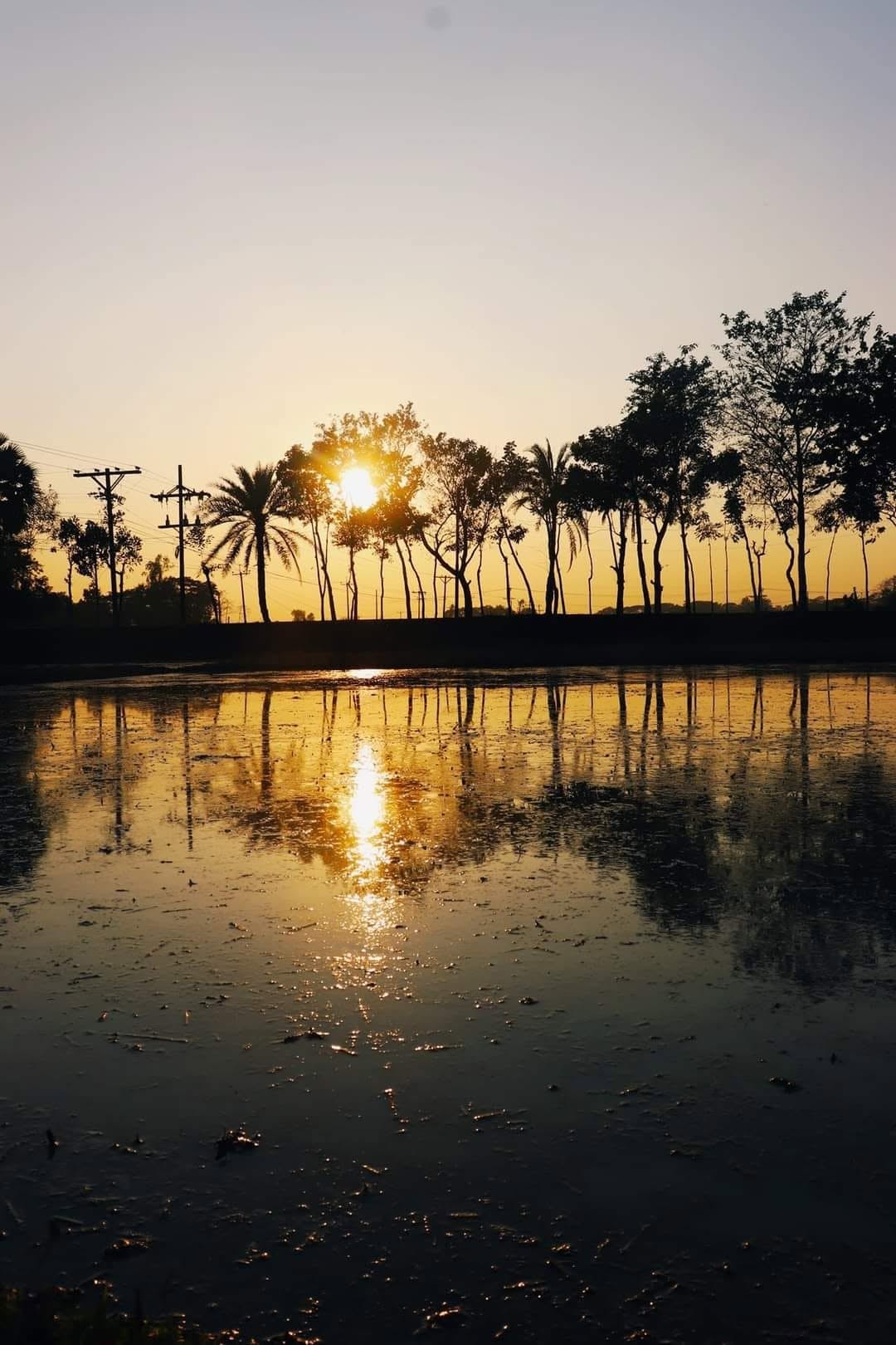 Day's end - Nature Photography Gallery