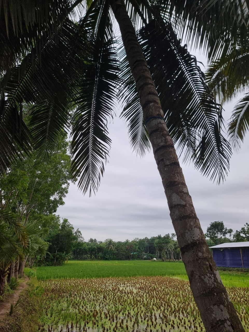 Free Landscapes photos. Village.