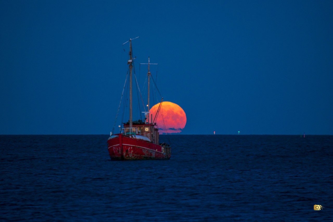 Strawberry Moon Rise - Nature Photography Gallery