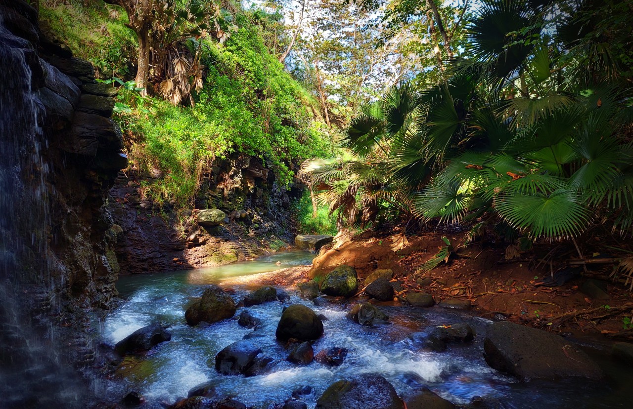 The River, Mauritius - Nature Photography Gallery