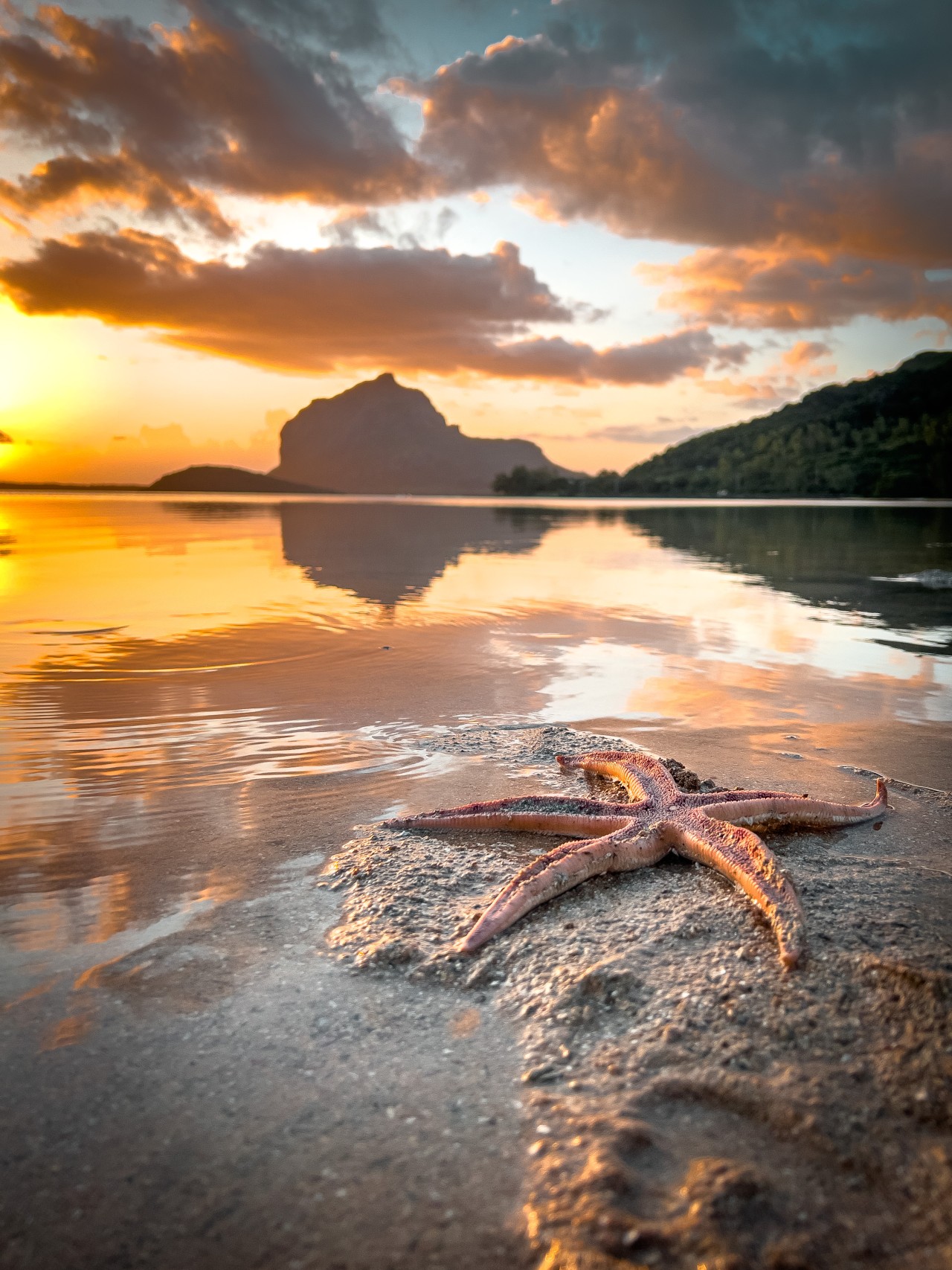 Rising Star - Nature Photography Gallery