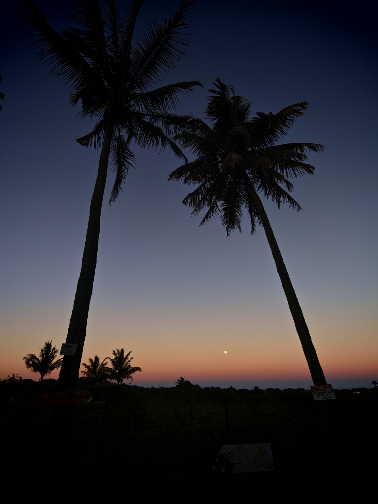 Moon rise - Nature Photography Gallery