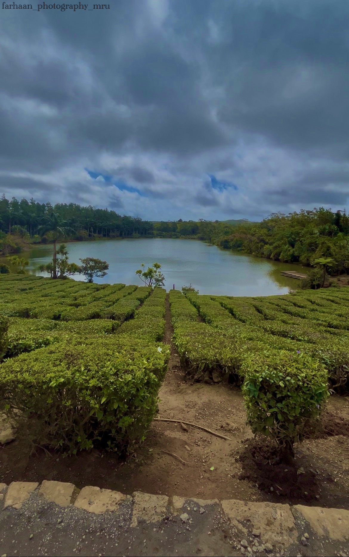 Free Landscapes photos. Bois cheri, Mauritius.
