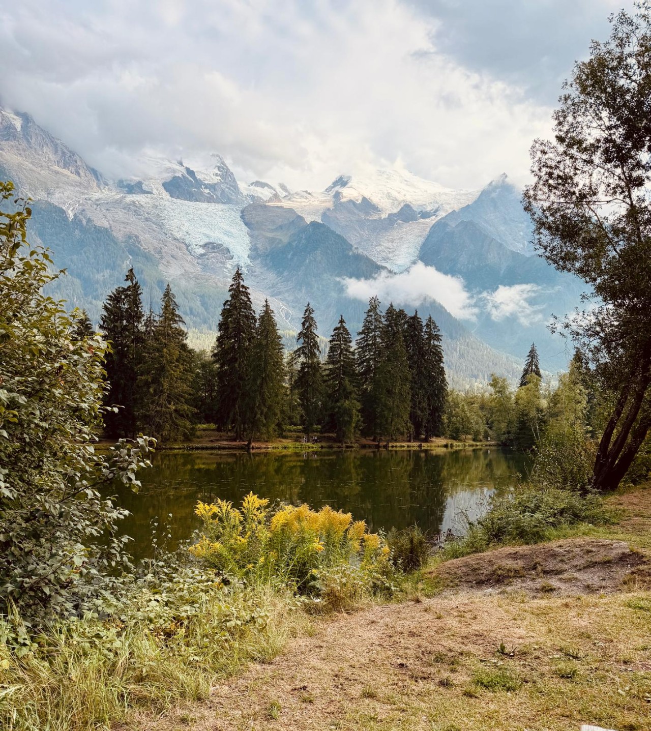 Silent Serenity - Nature Photography Gallery