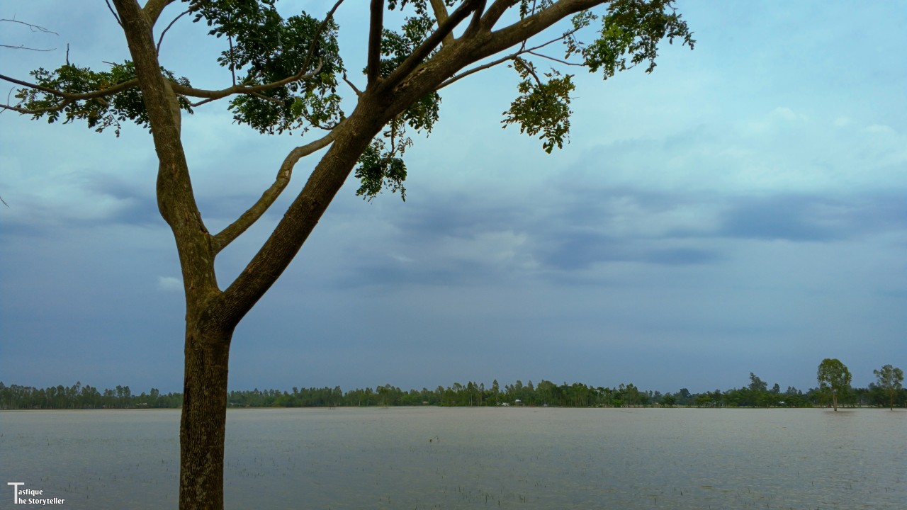 River - Nature Photography Gallery