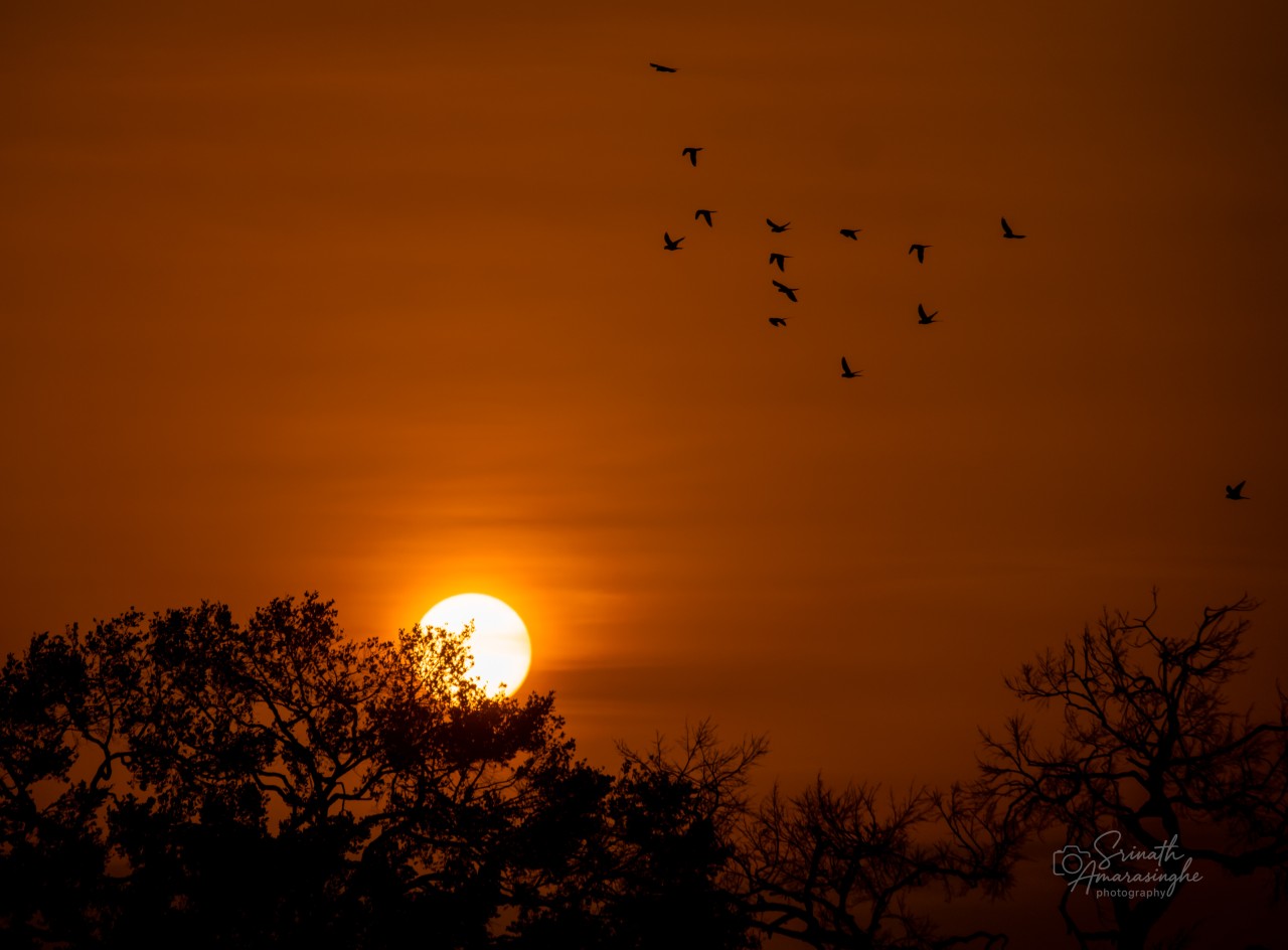 Sun down - Nature Photography Gallery