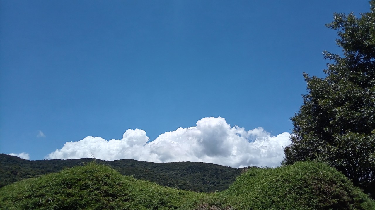Common Sights in Sri Lanka - Nature Photography Gallery