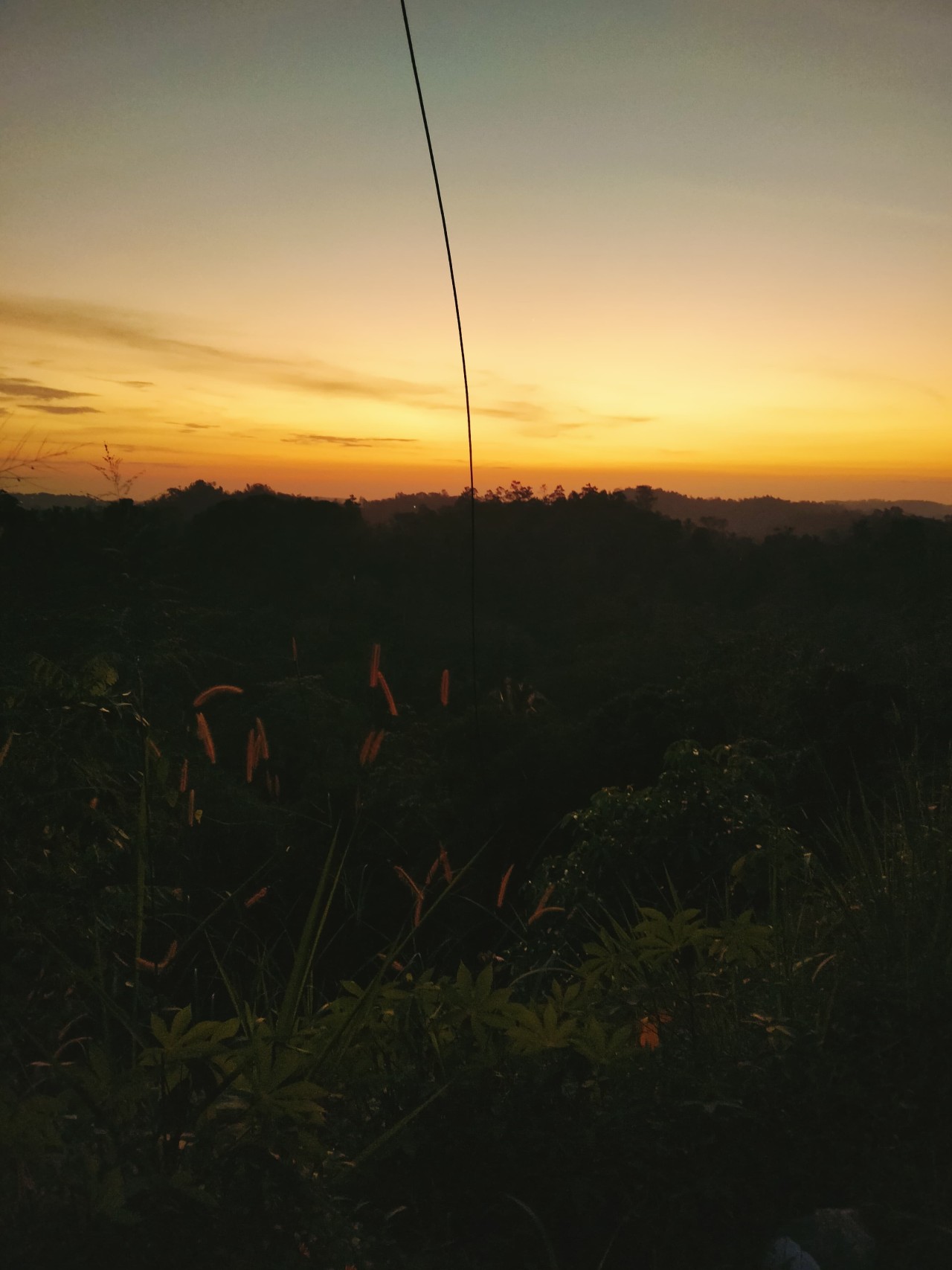 Sunset Vibes - Nature Photography Gallery