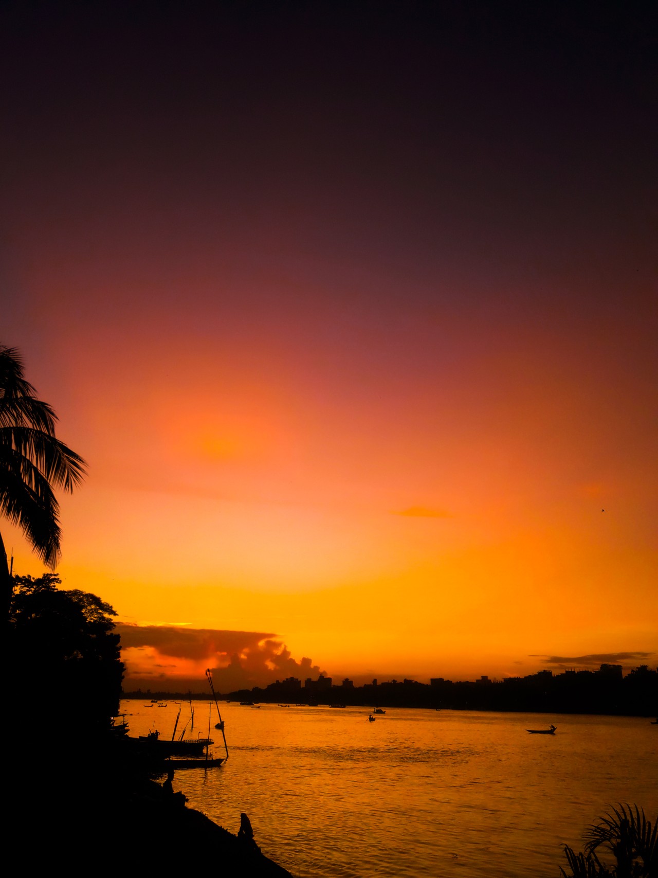 When the Sky Turns Gold - Nature Photography Gallery