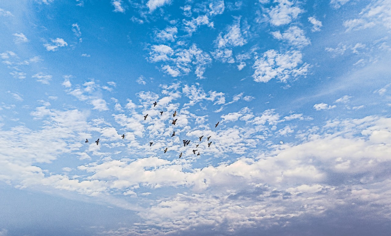 A Golden day - Nature Photography Gallery