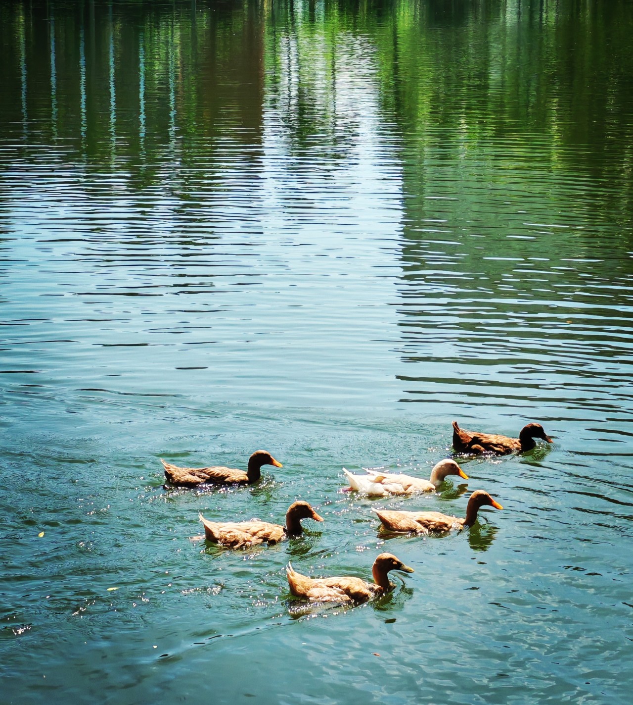 Fairy Tale - Nature Photography Gallery