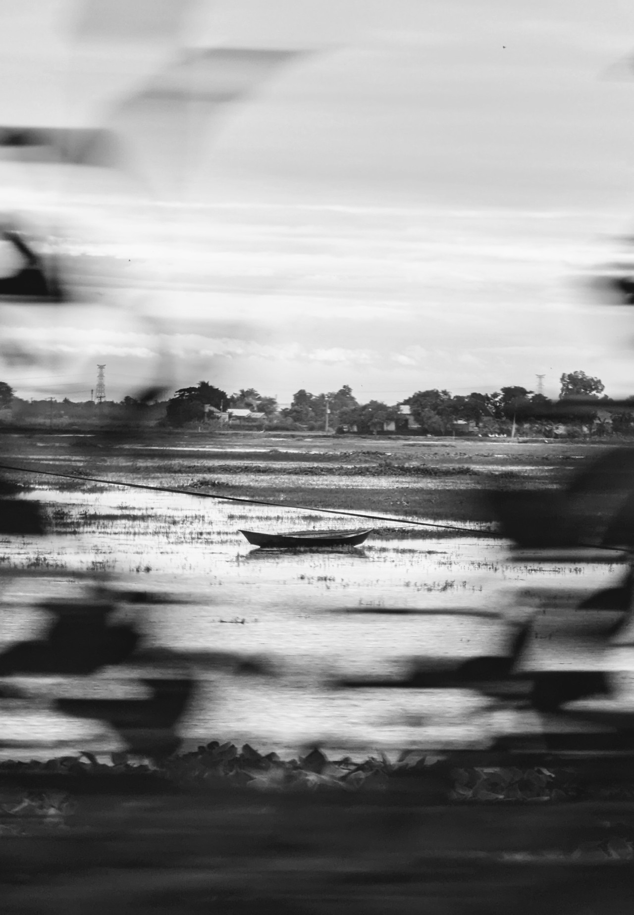 the lonely boat - Nature Photography Gallery