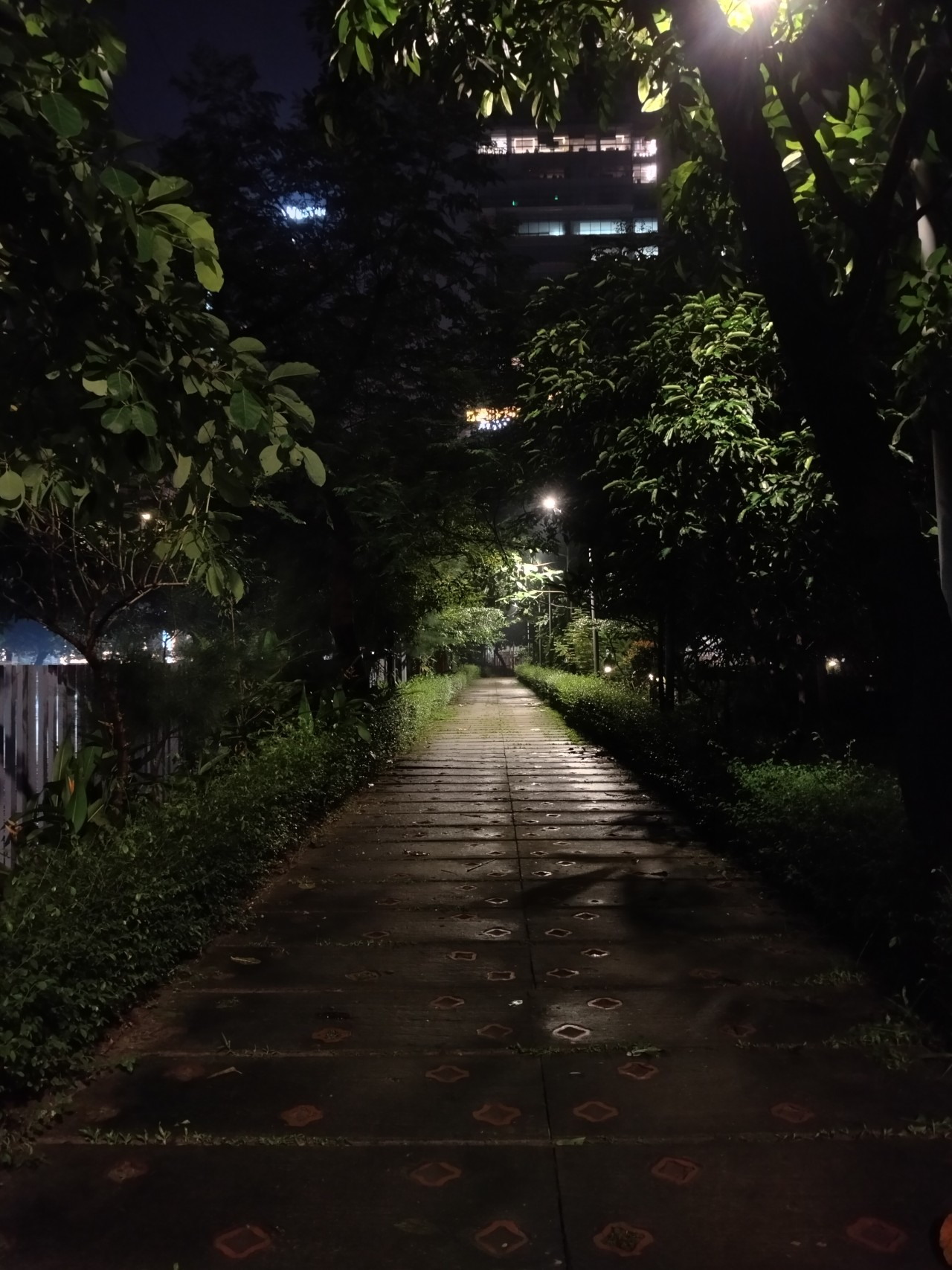 Dhaka, Bangladesh - Nature Photography Gallery