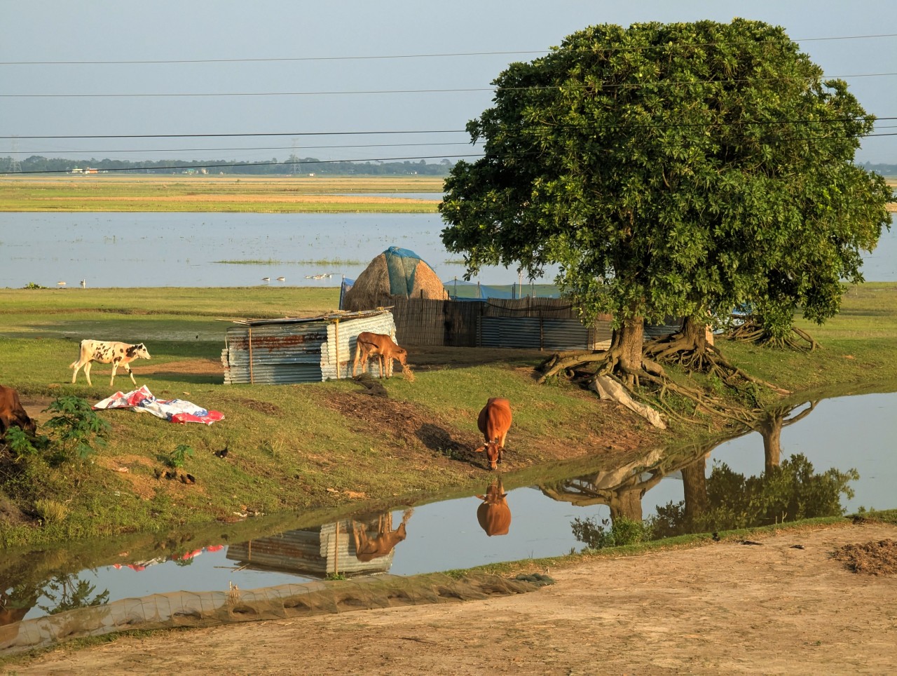 the village - Nature Photography Gallery